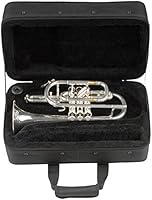 SKB　コルネット　セミハードケース SKB ( エスケービー ) SC325 コルネットセミハードケース 送料